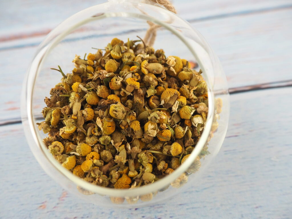 Chamomile, chamimila recutita, inflorescences