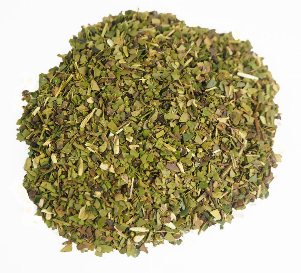 Yerba mate, ilex paraguariensis, cut leaf