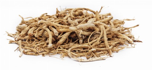 żeń-szeń chiński, panax ginseng, korzeń