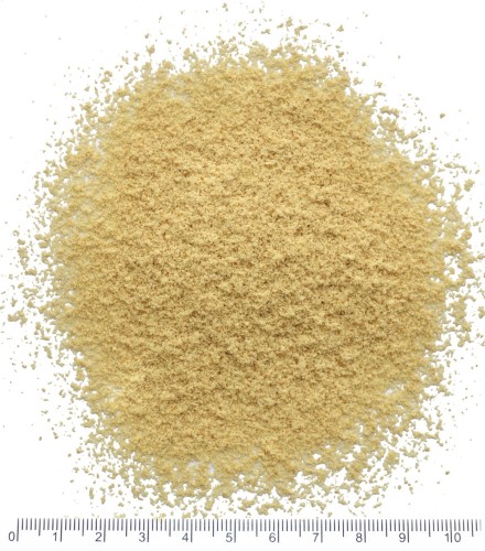 Golden linen, linum usitatissimum, powder