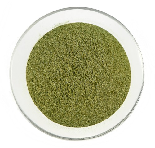 common nettle, urtica dioica, powder in a bowl