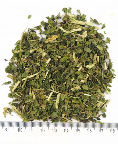 Suszony liść pokrzywy zwyczajnej Urtica dioica - surowiec zielarski