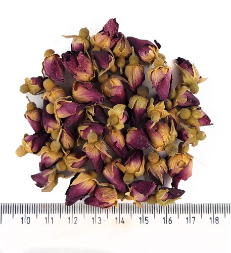 Domask rose, Rosa damascena, dried rosebuds