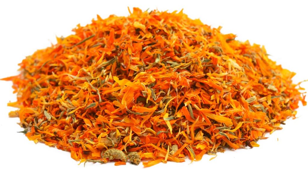 nagietek lekarski, calendula officinalis, kwiat