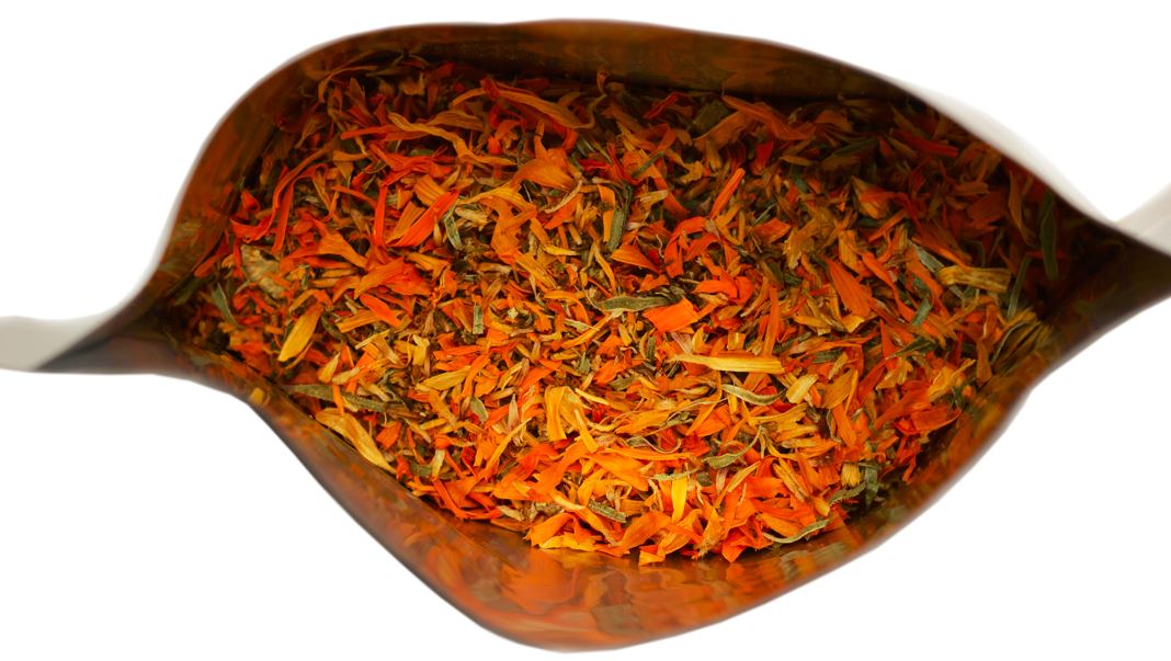 Suszony kwiat nagietka lekarskiego Calendula officinalis - surowiec zielarski