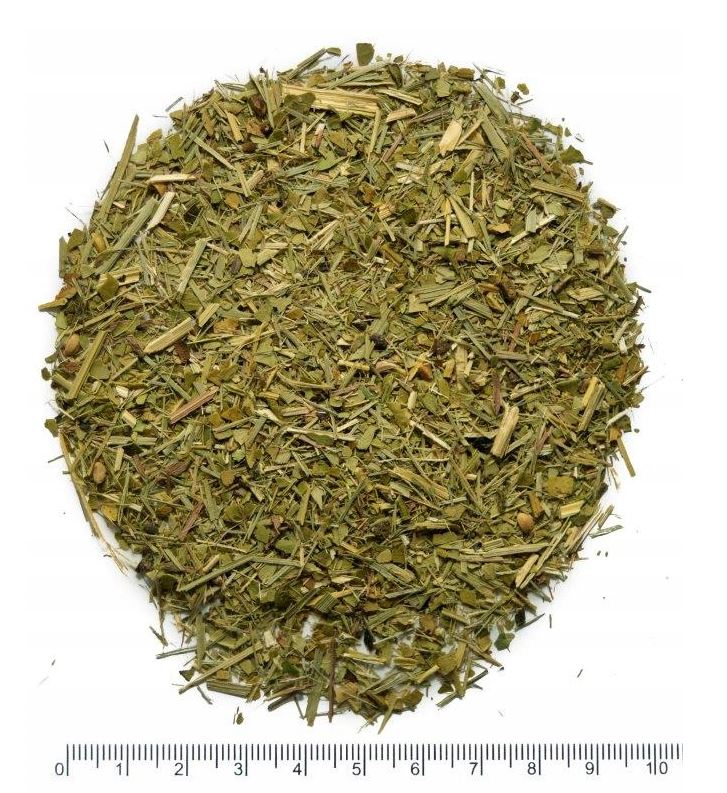 Yerba mate z trawą cytrynową - mieszanka ziołowa dla firm